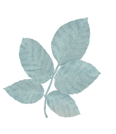 leaf-1