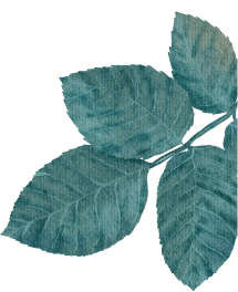 leaf-1