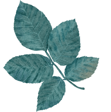 leaf-4