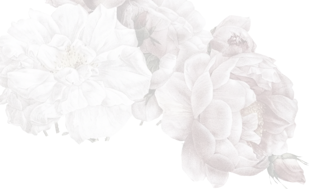 rose-cover-1