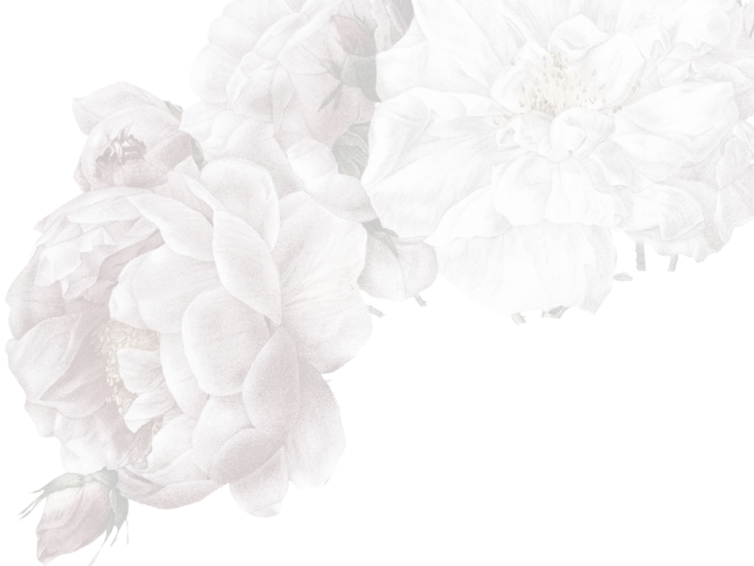 rose-cover-2