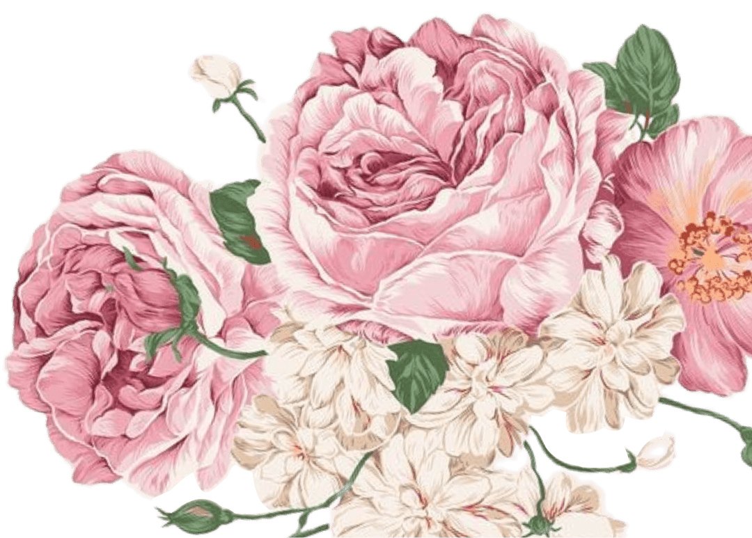rose-cover-4