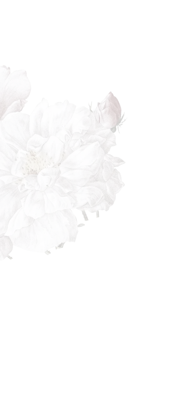 rose-stream-1