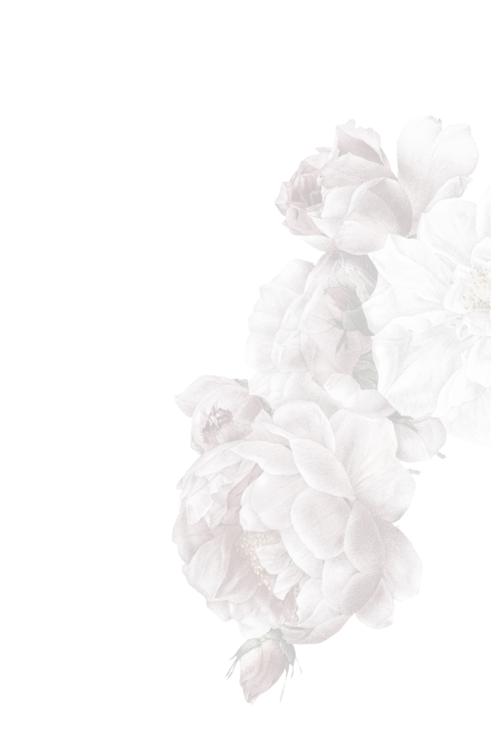 rose-stream-2