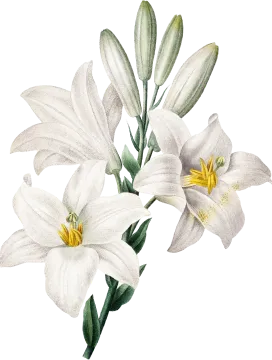 flower-3