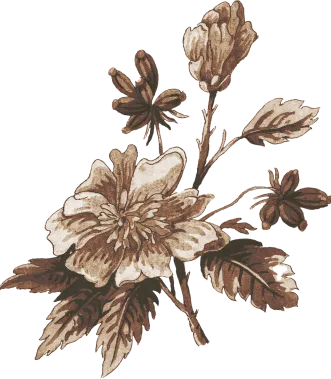 flower-2