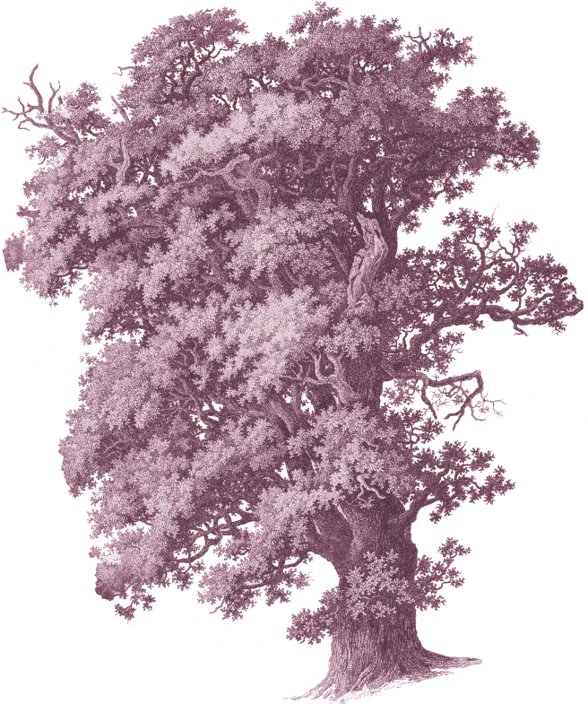 tree-2