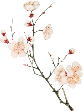 flower-branch